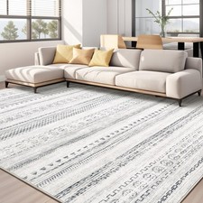 Area rug living for sale  Brentwood