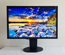 Eizo flexscan ev2416w gebraucht kaufen  Weimar