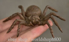 Colgante antiguo chino púrpura cobre araña estatua escultura 3,4" segunda mano  Embacar hacia Argentina