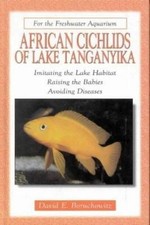 African cichlids lake for sale  DUNFERMLINE