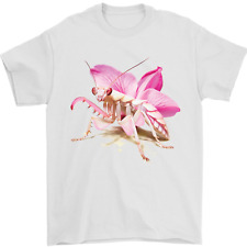 mantis orchid for sale mantis orchid for sale COVENTRY