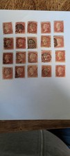Penny reds for sale  BUILTH WELLS