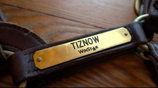 Authentic tiznow halter for sale  Huntsville