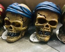 Aquarium deko totenkopf gebraucht kaufen  München