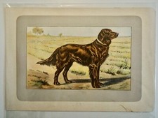 Mahler paul chromolitho. d'occasion  Le Raincy