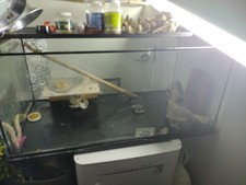 Fish & Aquariums for sale  East Boston