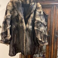 Gorgeous real coyote for sale  Johnston