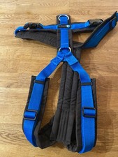 Anny hundegeschrr königsblau gebraucht kaufen  Bad Sooden-Allendorf