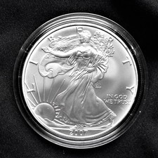 American silver eagle gebraucht kaufen  Minden