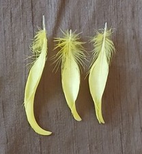 Rare naturally molted for sale  Saint Petersburg