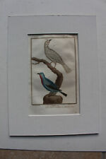Gravure xviiiè seve d'occasion  Brioude