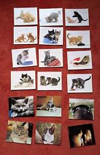 Cat protection calendar for sale  INNERLEITHEN