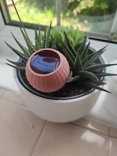 Terracotta effect self for sale  BRIDGEND