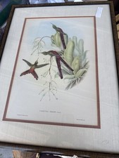 John gould richter for sale  Fernley
