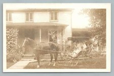 Nice horse carriage for sale  USA