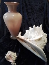 Vase rosa großer gebraucht kaufen  Lichtenau