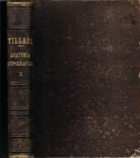 Trattato anatomia topografica usato  Gorizia