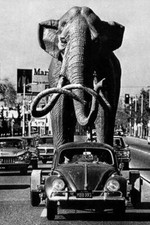 Vintage beetle elephant for sale  Tampa