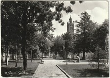 Carpi modena giardini usato  Isola Vicentina