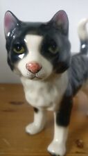 Cooper craft cat for sale  LEWES