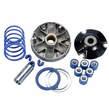 Kit variatore polini usato  Italia