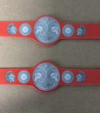 Wwe tag team gebraucht kaufen  Much