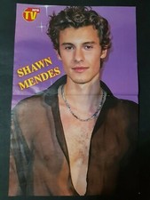 Shawn mendes cantante usato  Polcenigo