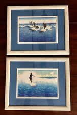 Surf king surf for sale  Melbourne