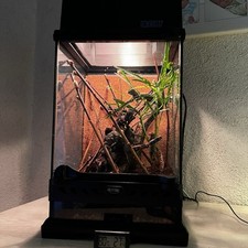 Verkaufe exo terra gebraucht kaufen  Aalen