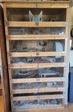 Nagerkäfig xxl selbstgebaut gebraucht kaufen Nagerkäfig xxl selbstgebaut gebraucht kaufen  Wadern