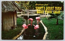 Theme park flamingoes for sale  Newton