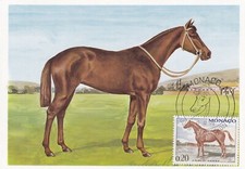 Carte postale postcard d'occasion  Bourg-de-Péage