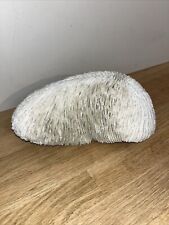 Corail collection fungia d'occasion  Bourgoin-Jallieu