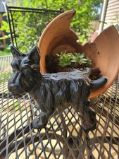 Naughty scottie dog for sale  Lexington