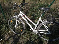Damenrad pegasus avanti gebraucht kaufen  Köln