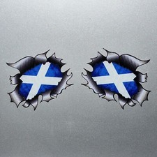 Small scotland scottish for sale  FELIXSTOWE