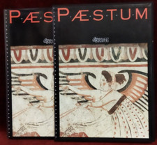 Paestum fausto zevi usato  Roma