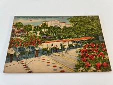 Coliseum shuffleboard courts for sale  College Grove