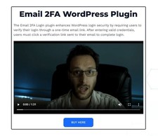 Wordpress plugin business for sale  LONDON