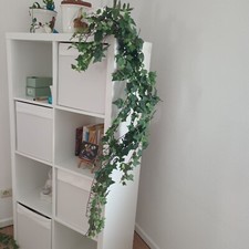Künstliche efeu 100cm gebraucht kaufen  Rüsselsheim am Main