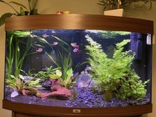 jewel fish tank for sale jewel fish tank for sale MILTON KEYNES