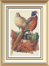 Original charles tunnicliffe for sale  CANNOCK