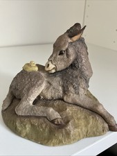 Country artist donkey for sale  BIRMINGHAM