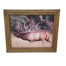 Wildlife photo elk for sale  Perrysburg