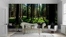 3D Tiefer Wald Tapete Fototapete Ablösbar Selbstklebend 385 comprar usado  Enviando para Brazil