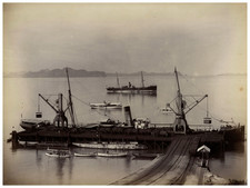 Siam hongay cranes d'occasion  Pagny-sur-Moselle