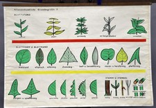 Schulwandkarte vintage poster gebraucht kaufen Schulwandkarte vintage poster gebraucht kaufen  Berghülen