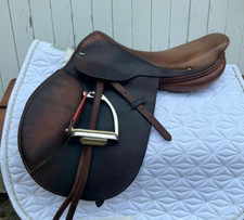 Beval english jumping for sale  Martville
