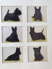 Melanie phillips framed for sale  Palm Beach