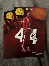 Scheda ufficiale ferrari usato  Italia